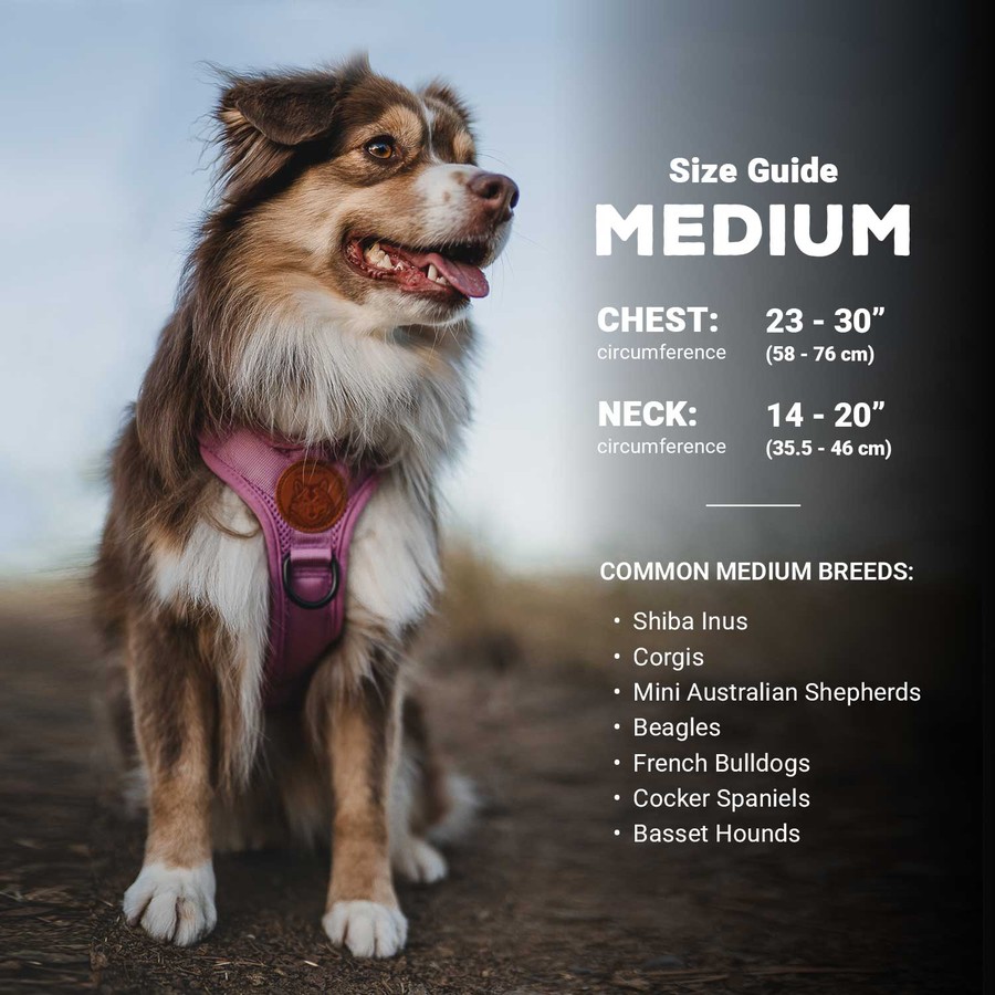 Wilderdog Outdoor Dog Harness