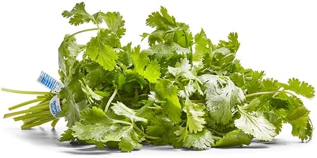 Herb Cilantro Organic, 1 Bunch