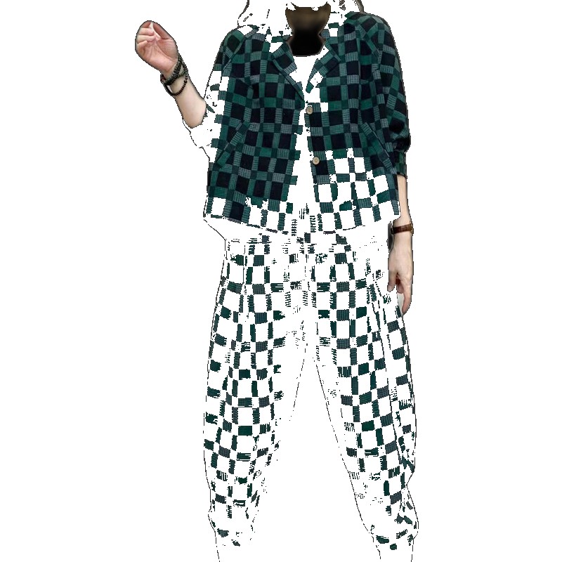 2023 Autumn Cotton and Linen Printed Suit Collar Loose Jacket with Same Color Peanuts Women's Casual Suit