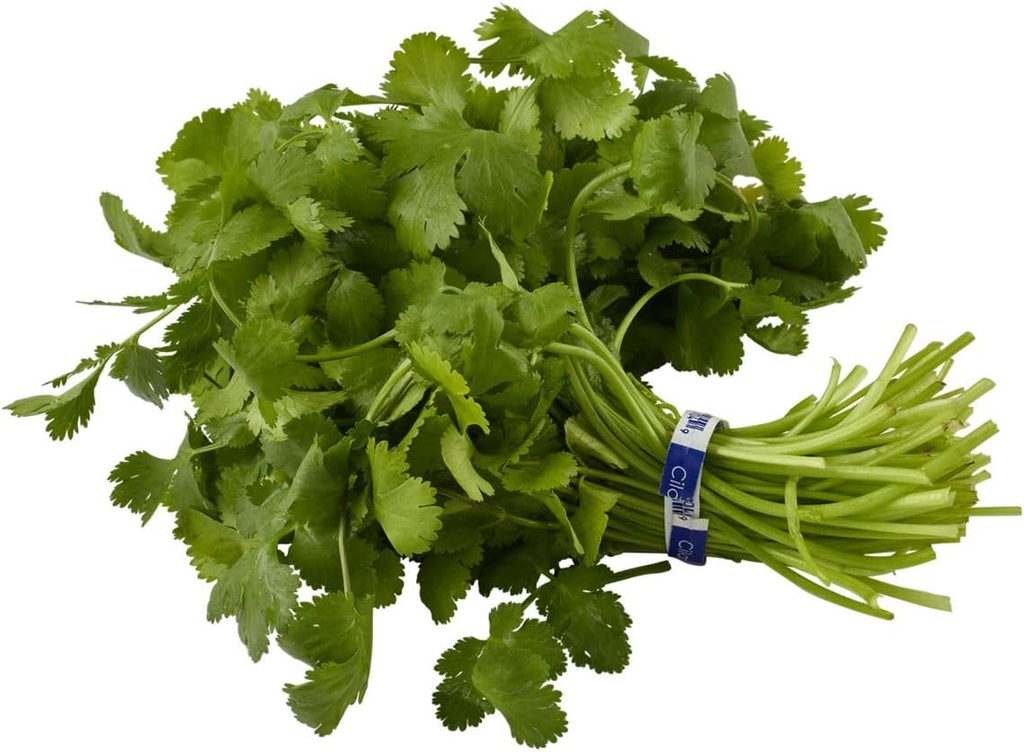 Cilantro, 1 Each (One Size)