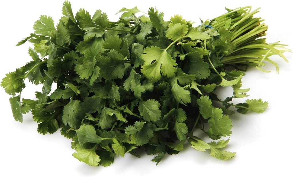 Cilantro, Organic, 1 Bunch (United States) (One Size)
