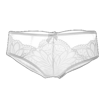 French sexy transparent temptation lace women's low-waist briefs underwear thong T-pants cross-border supply supply