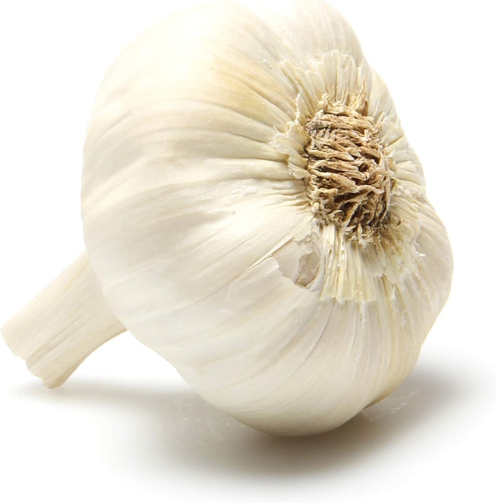 Organic Garlic, 1 Each (One Size)