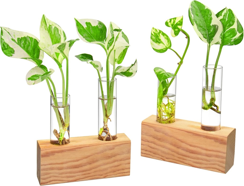 Propagation Station, Plants Terrarium, Plants Lover Gifts for Women,Plant Cutting Holder Home décor,Gifts for Women,House Warming New Home-4 Tubes-Beige (One Size)