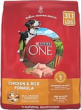 Purina ONE Chicken and Rice Formula Dry Dog Food - 31.1 lb. Bag (One Size)